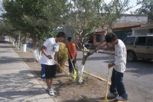 SERVICIO COMUNITARIO