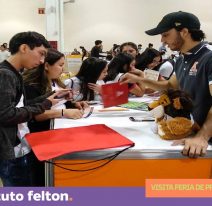profesiones_felton